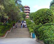 武功明天天气