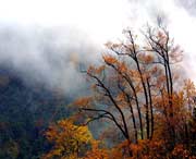 千阳明天天气
